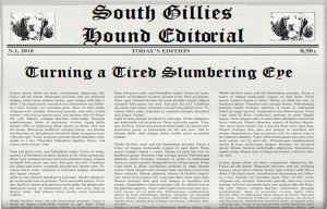 Turning-a-Tired-Slumnering-Eye-hound-editorial-headline-template-16146424-1